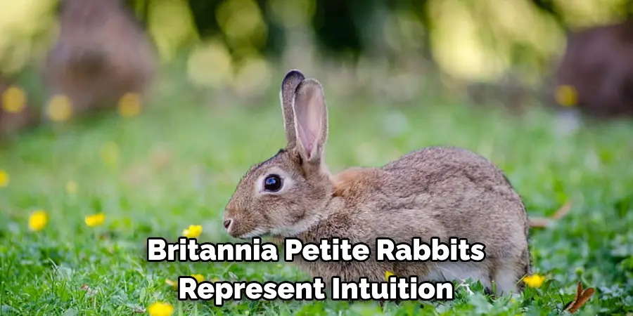 Britannia Petite Rabbits 
Represent Intuition 