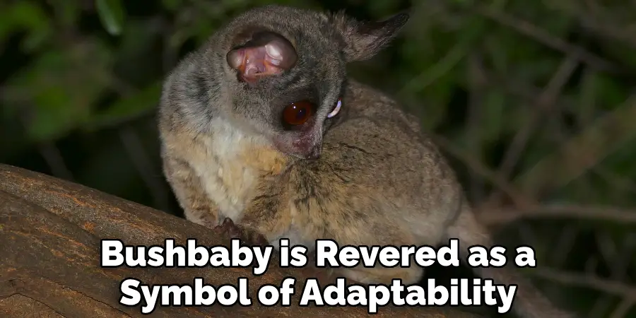 Bushbaby is Revered as a Symbol of Adaptability