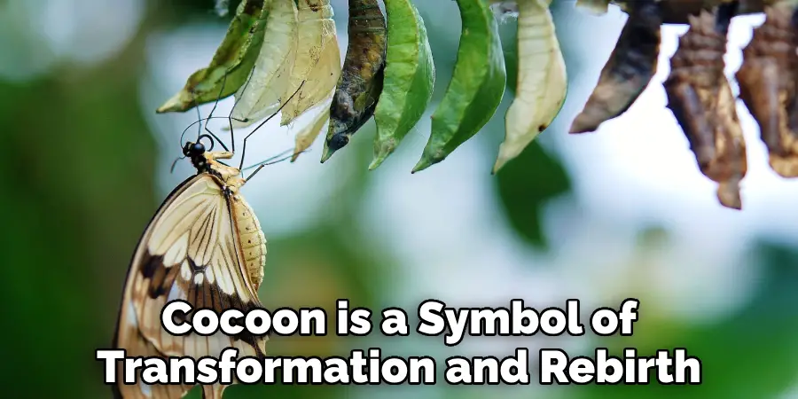 Cocoon is a Symbol of Transformation and Rebirth