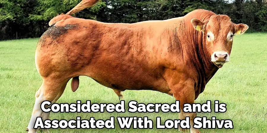 Considered Sacred and is Associated With Lord Shiva