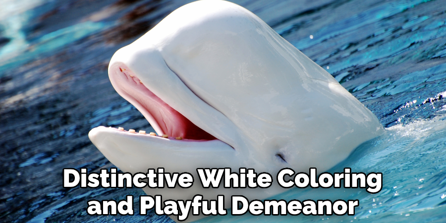 Distinctive White Coloring and Playful Demeanor