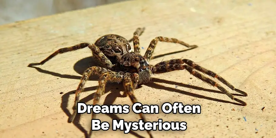 Dreams Can Often Be Mysterious