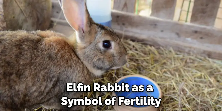 Elfin Rabbit as a Symbol of Fertility