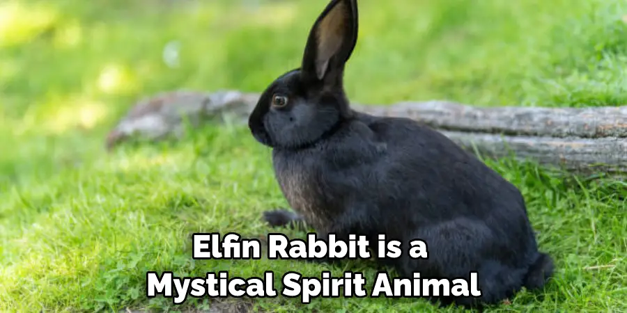 Elfin Rabbit is a Mystical Spirit Animal