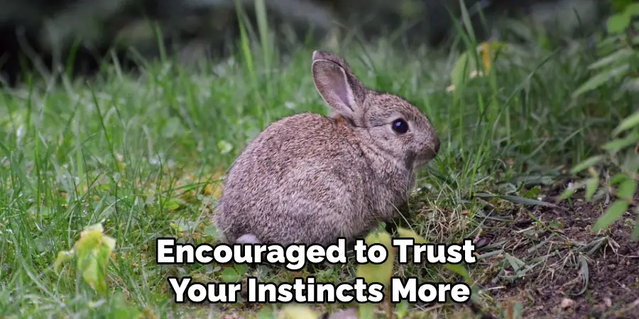 Encouraged to Trust Your Instincts More
