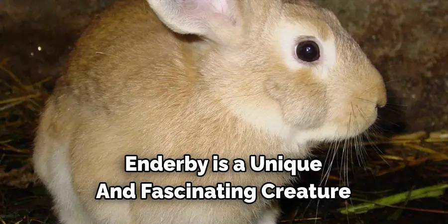 Enderby is a Unique 
And Fascinating Creature