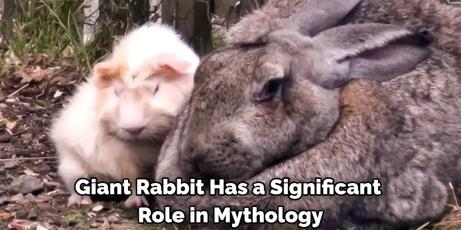 Giant Rabbit Has a Significant 
Role in Mythology
