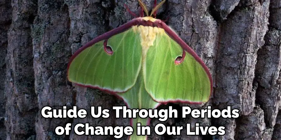 Guide Us Through Periods of Change in Our Lives