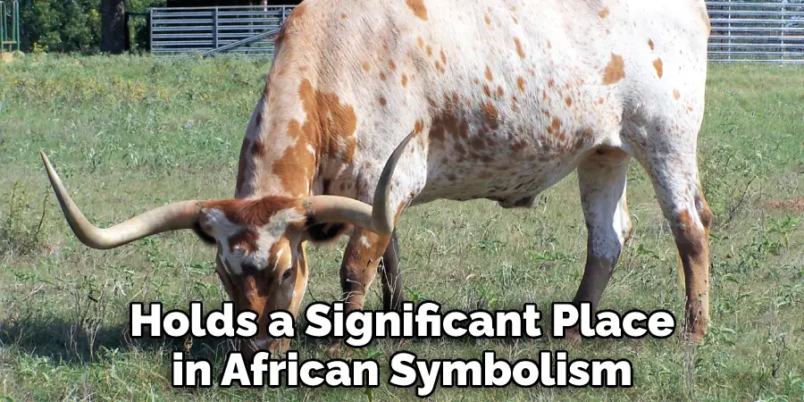Holds a Significant Place in African Symbolism