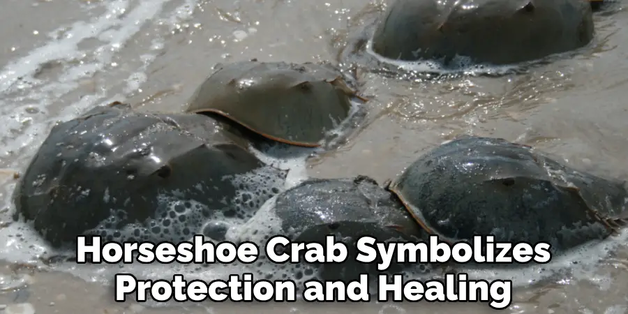 Horseshoe Crab Symbolizes Protection and Healing