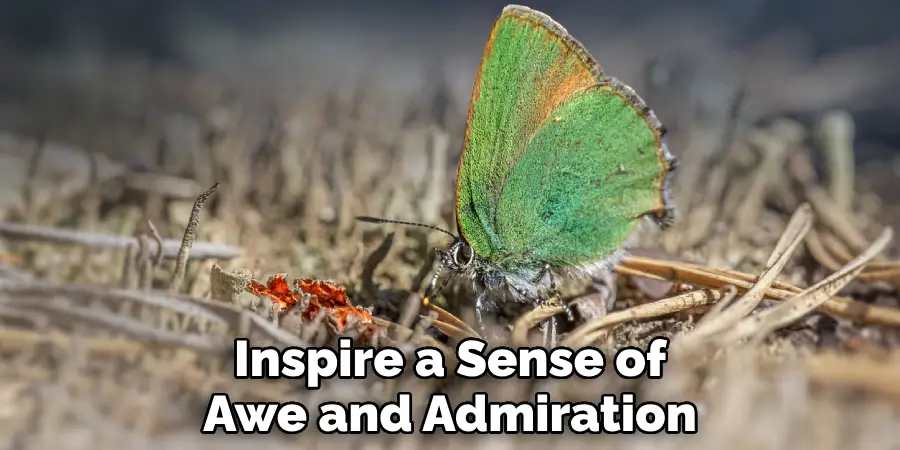 Inspire a Sense of Awe and Admiration