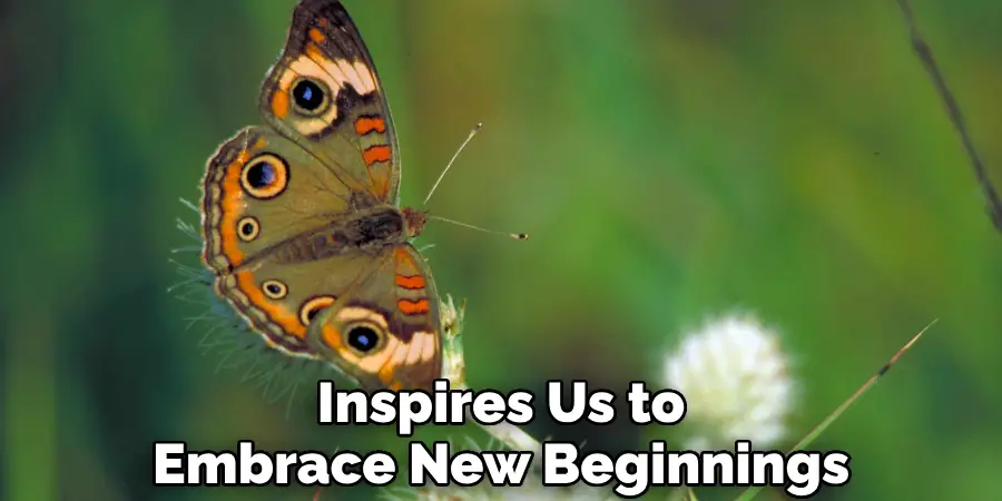 Inspires Us to Embrace New Beginnings