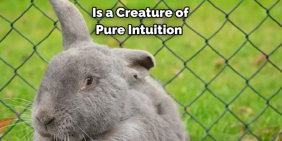 Is a Creature of Pure Intuition 
