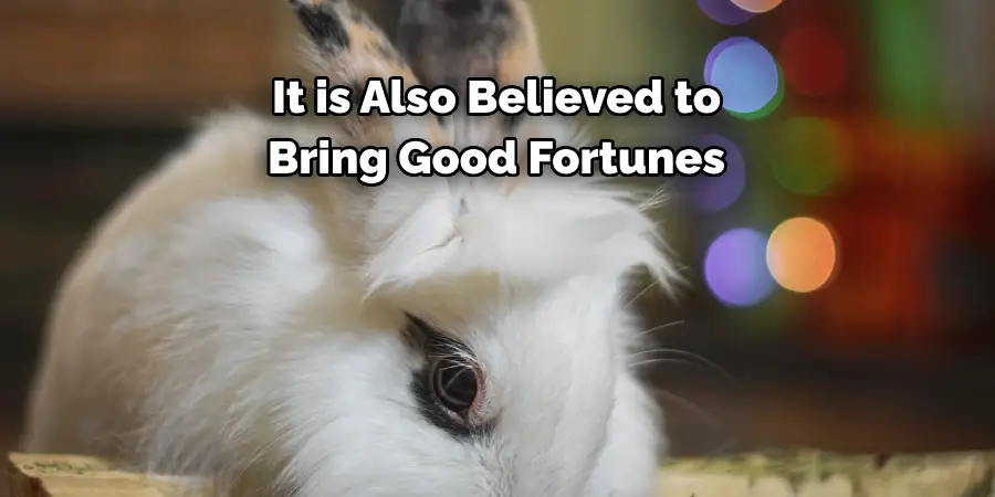 It is Also Believed to Bring Good Fortunes