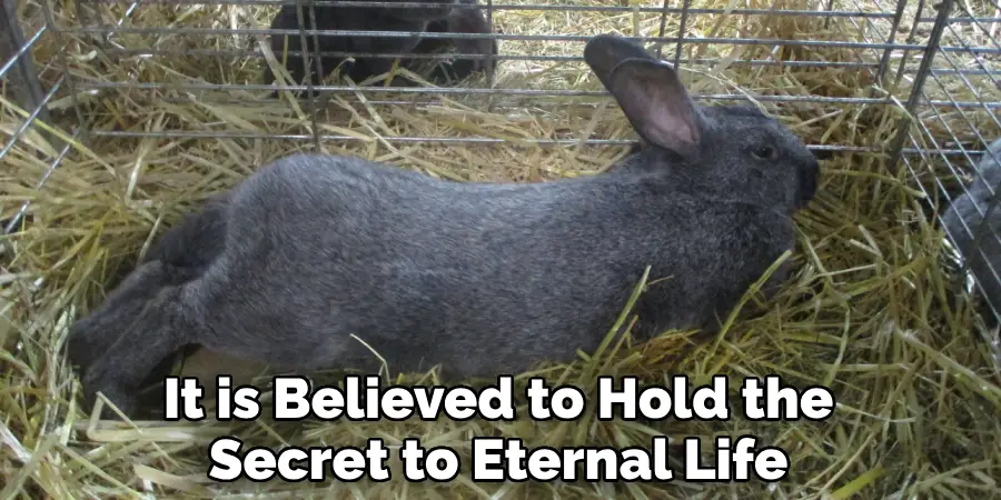 It is Believed to Hold the Secret to Eternal Life