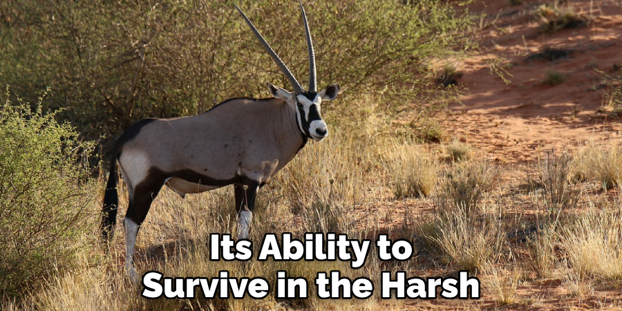 Its Ability to Survive in the Harsh