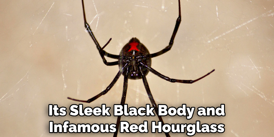 Its Sleek Black Body and Infamous Red Hourglass