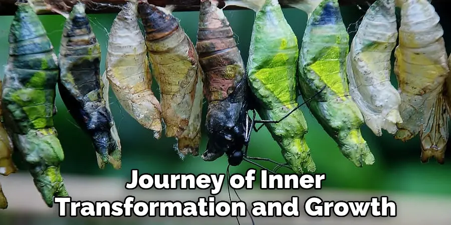 Journey of Inner Transformation and Growth