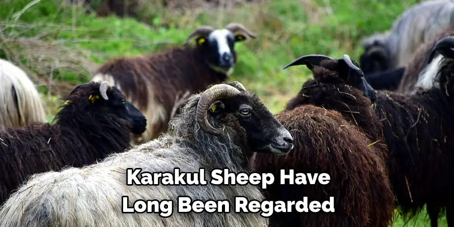 Karakul Sheep Have 
Long Been Regarded