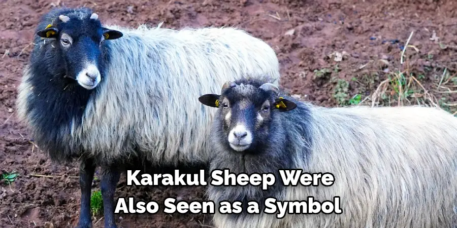 Karakul Sheep Were 
Also Seen as a Symbol 