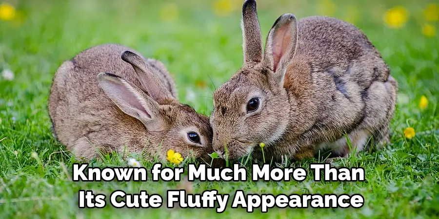 Known for Much More Than Its Cute Fluffy Appearance