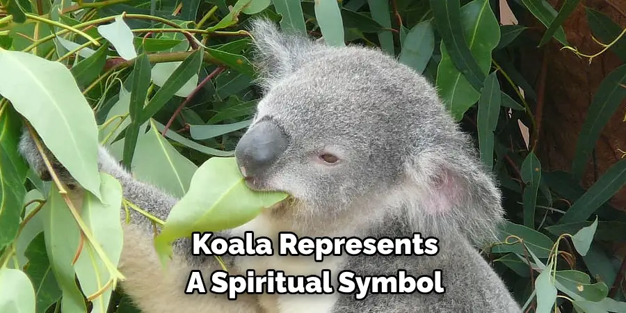 Koala Represents 
A Spiritual Symbol