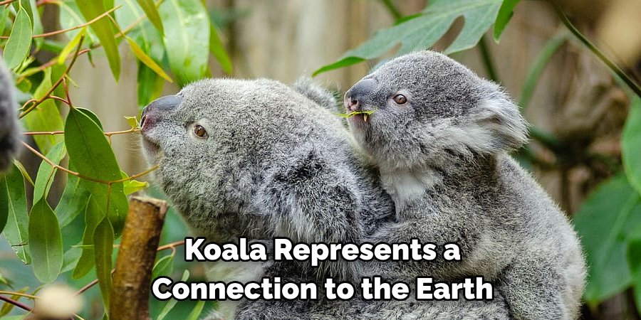 Koala Represents a 
Connection to the Earth