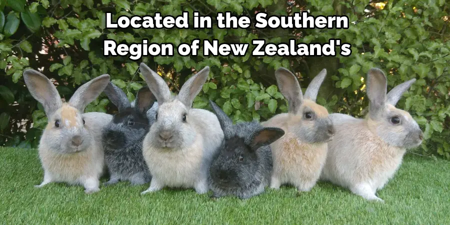 Located in the Southern
Region of New Zealand's
