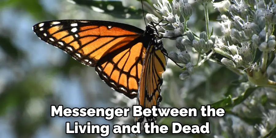 Messenger Between the Living and the Dead