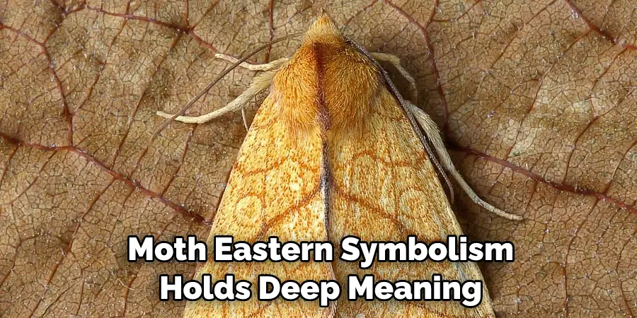Moth Eastern Symbolism 
Holds Deep Meaning