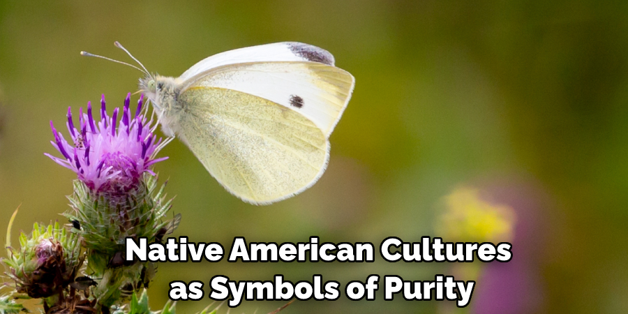 Native American Cultures as Symbols of Purity