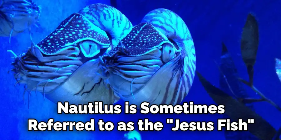 Nautilus is Sometimes Referred to as the "Jesus Fish"