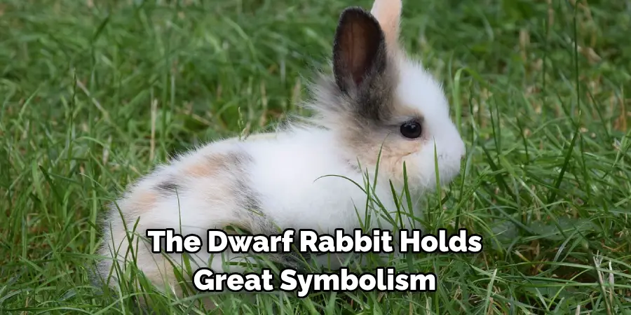 The Dwarf Rabbit Holds 
Great Symbolism