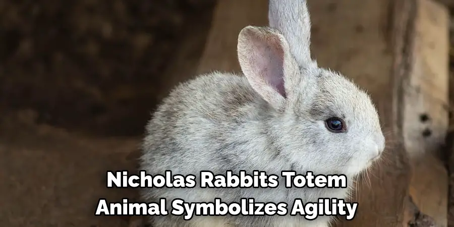 Nicholas Rabbits Totem 
Animal Symbolizes Agility