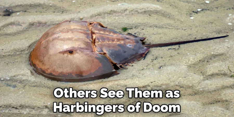 Others See Them as Harbingers of Doom