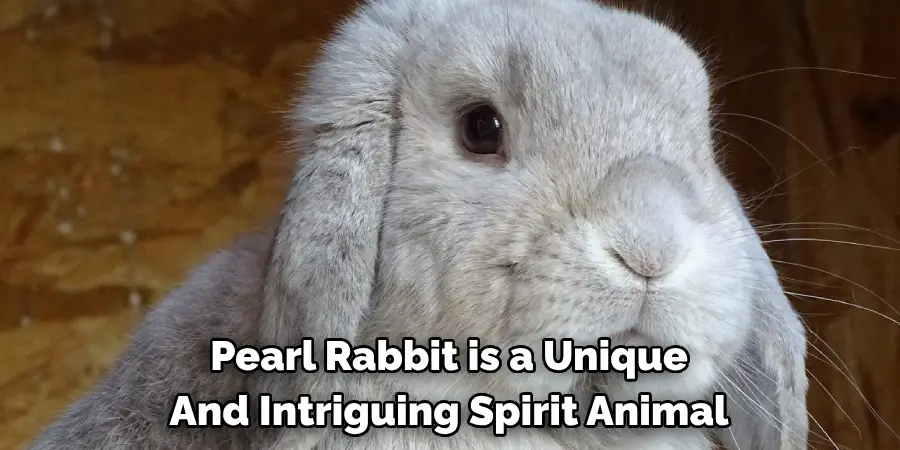 Pearl Rabbit is a Unique 
And Intriguing Spirit Animal