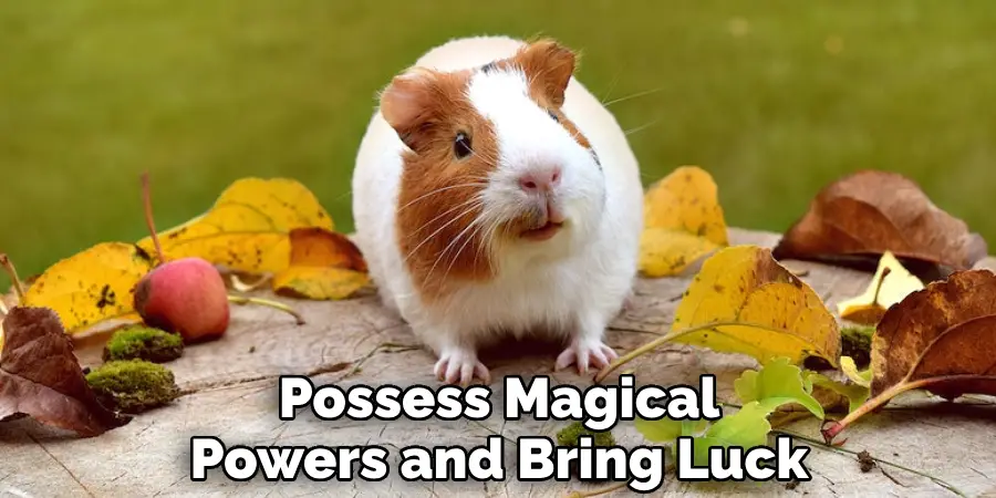 Possess Magical Powers and Bring Luck