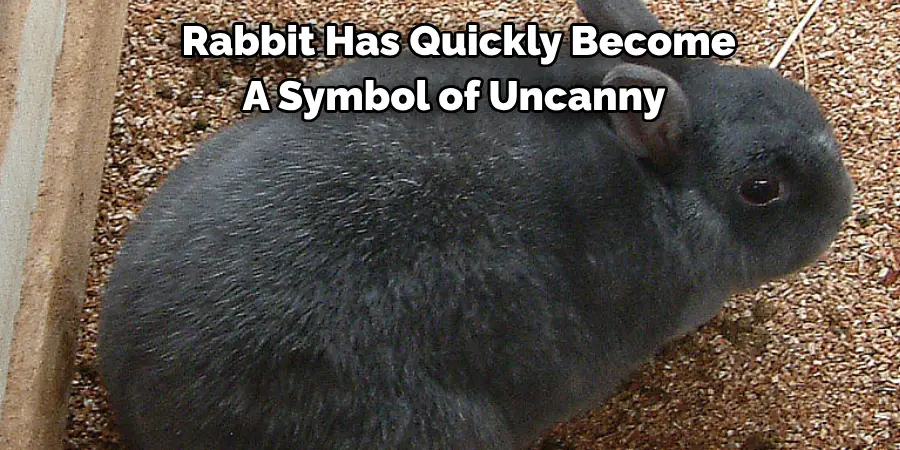  Rabbit Has Quickly Become 
A Symbol of Uncanny