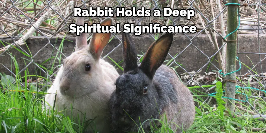 Rabbit Holds a Deep 
Spiritual Significance 