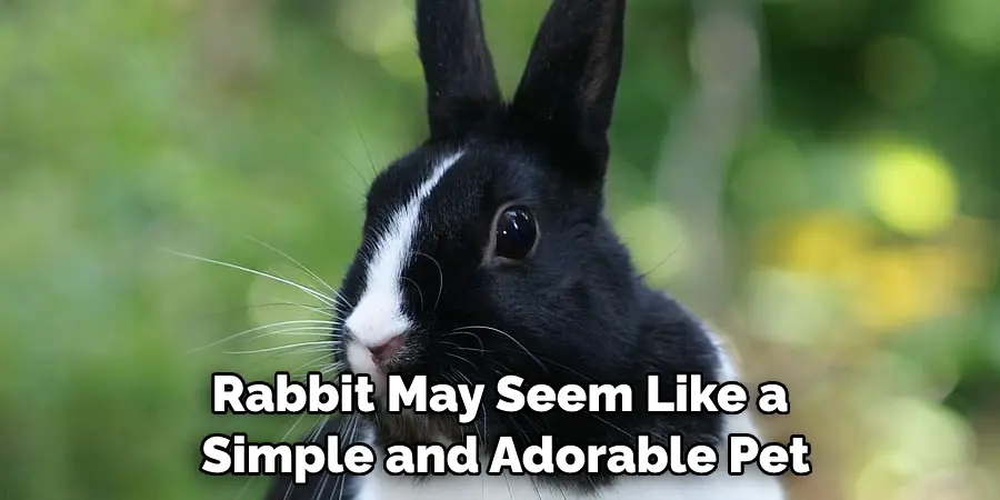 Rabbit May Seem Like a Simple and Adorable Pet