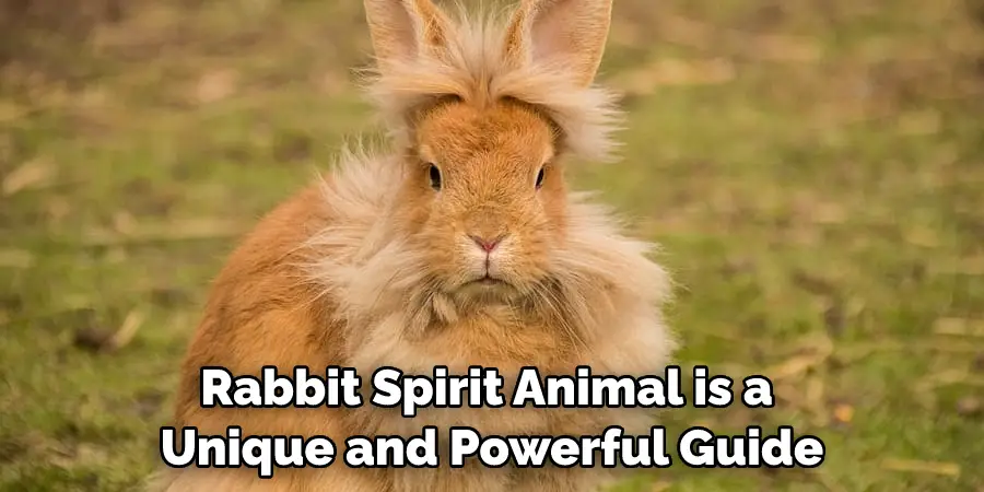 Rabbit Spirit Animal is a Unique and Powerful Guide