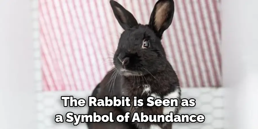 The Rabbit is Seen as a Symbol of Abundance
