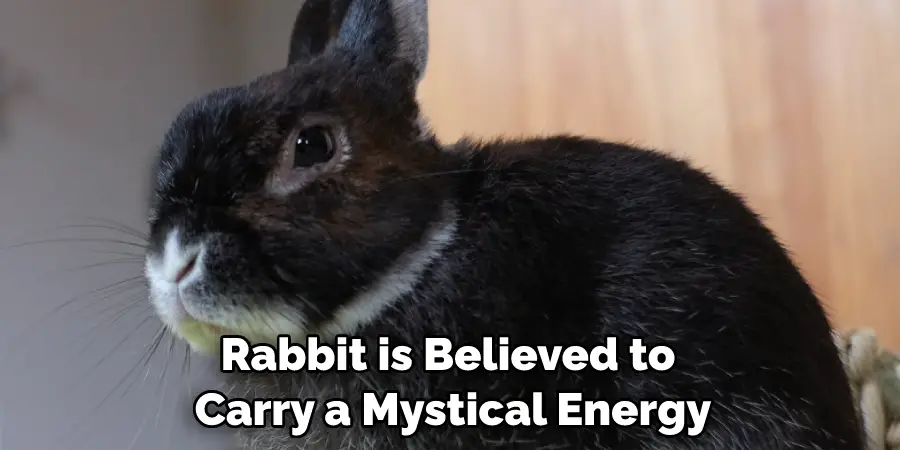 Rabbit is Believed to Carry a Mystical Energy
