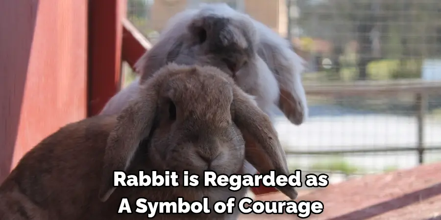 Rabbit is Regarded as A Symbol of Courage