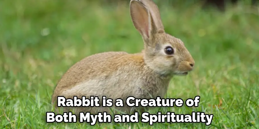 Rabbit is a Creature of Both Myth and Spirituality
