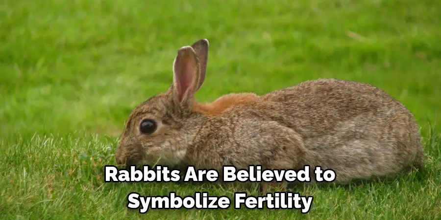 Rabbits Are Believed to
Symbolize Fertility