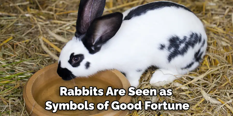 Rabbits Are Seen as Symbols of Good Fortune