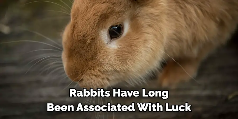 Rabbits Have Long 
Been Associated With Luck