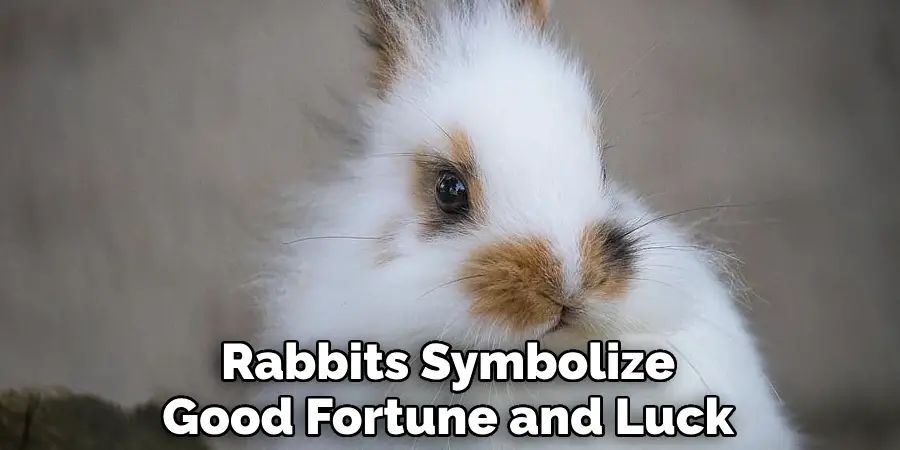 Rabbits Symbolize Good Fortune and Luck