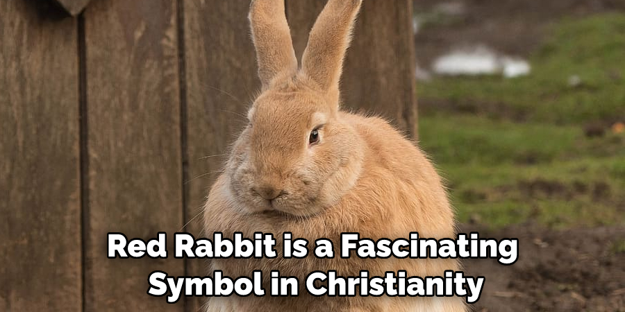 Red Rabbit is a Fascinating
 Symbol in Christianity